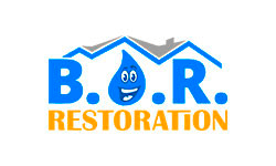 bor logotype