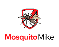 mosquito