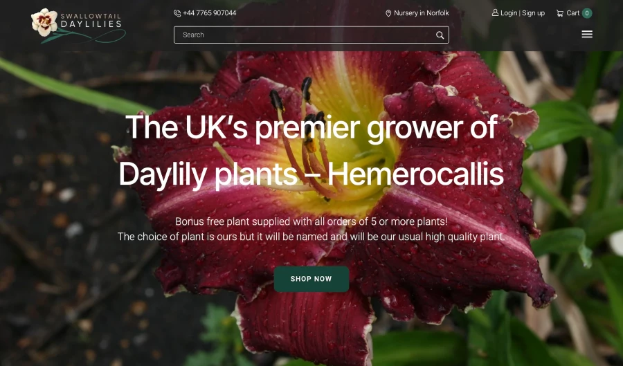 ecommerce-website-template-online-store-flowers