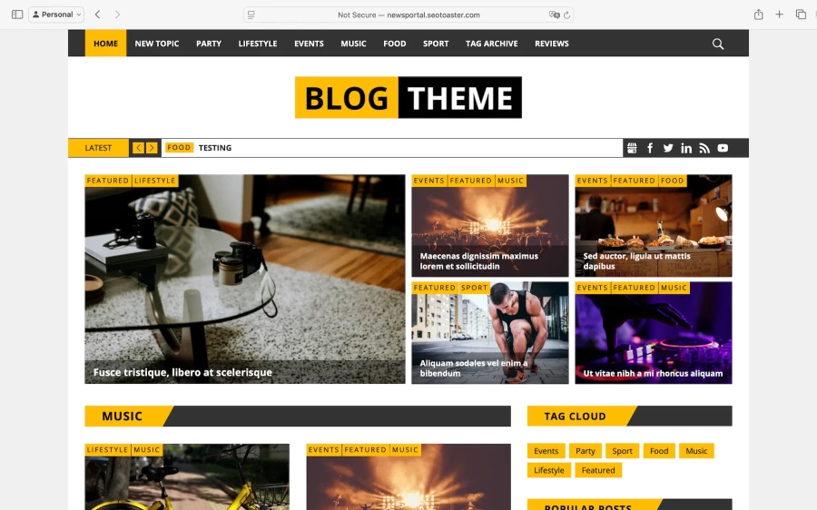website-template-blog-and-news