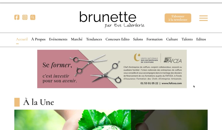 website-template-hairstylist