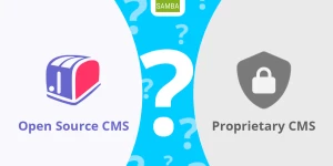 CMS for Web Designers and Digital Marketing Agencies: Open Source or Proprietary CMS?
