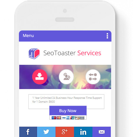 seotoaster-services